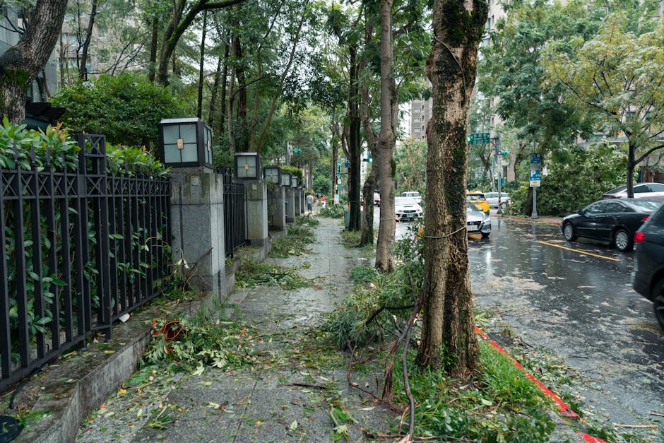 A large fallen tree with thick, textured branches and a rough bark surface has collapsed across a paved parking area, blocking part of the driveway. The tree's trunk is extensive and broken with fresh